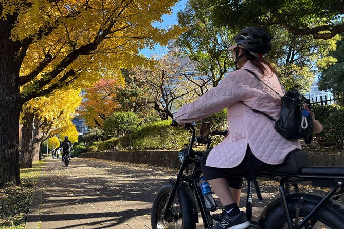 Tokyo Top Highlights 3h Guided E-bike Tour - Weather and timing can change the plan