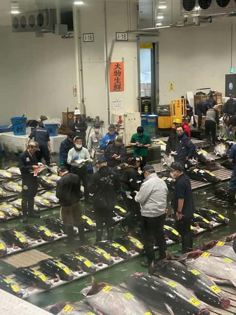 Tokyo Toyosu Tuna Auction + Breakfast (Sushi Dai or Bentomi) - Timing, clothing, and market manners
