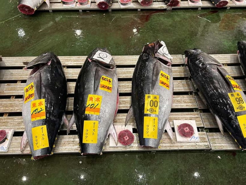 Tokyo Toyosu Tuna Auction + Breakfast (Sushi Dai or Bentomi) - Choosing the third-floor gallery or ground-level deck