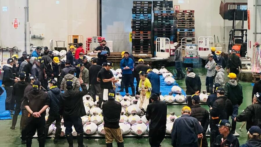 Tokyo: Toyosu Tuna Auction &Tsukiji Market Gourmet Adventure - Tsukiji between 8:00 and 8:30 AM