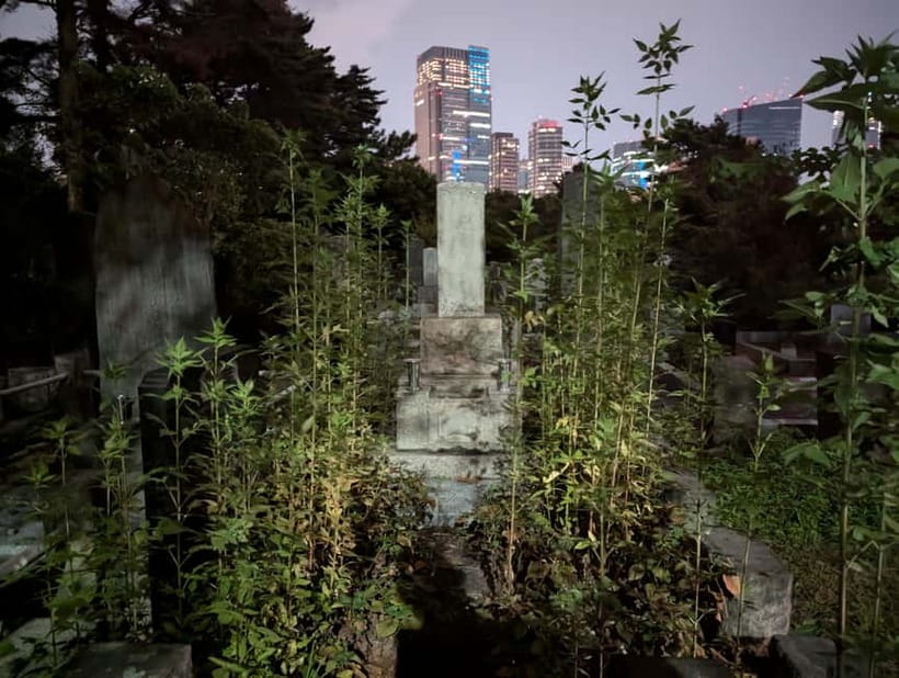 Tokyo: True Crime And Ghost Stories Tour - John’s style: part historian, part actor