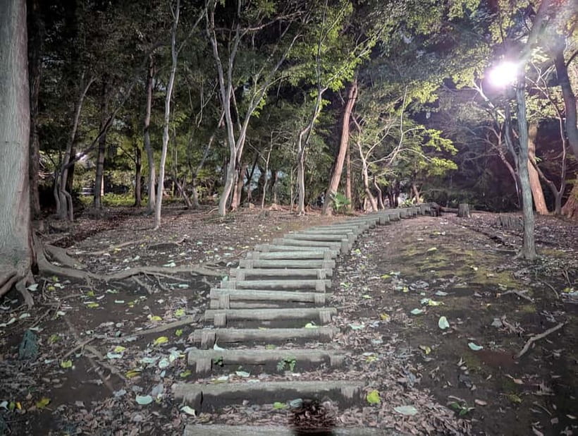 Tokyo: True Crime And Ghost Stories Tour - Should you book the Tokyo True Crime and Ghost Stories Tour?
