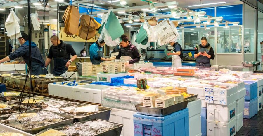 Tokyo Tsukiji Food & Culture Private Tour Licensed Guide - Key points to know before booking
