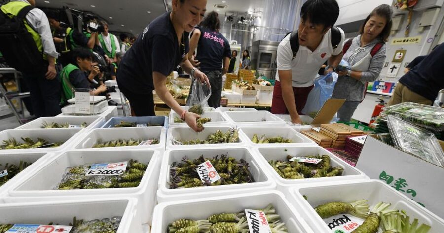 Tokyo Tsukiji Food & Culture Private Tour Licensed Guide - What the guides add beyond directions
