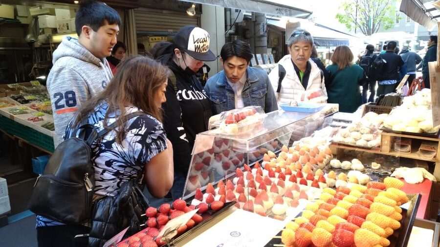 Tokyo Tsukiji Food & Culture Private Tour Licensed Guide - Why this private Tokyo food tour works