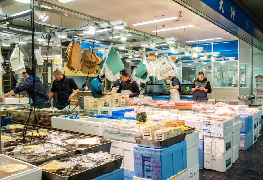 Tokyo Tsukiji Food & Culture Private Tour Licensed Guide - Toyosu Market: Tokyo’s modern fish center