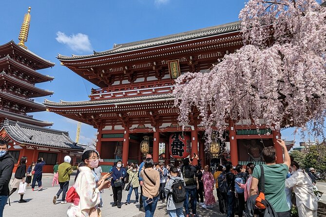 Tokyo VIP Guided Private Car Tour with Optional Airport Transfer - Key points to know before booking
