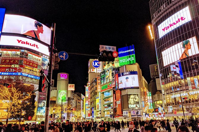 Tokyo VIP Guided Private Car Tour with Optional Airport Transfer - How to build a sensible eight-hour route