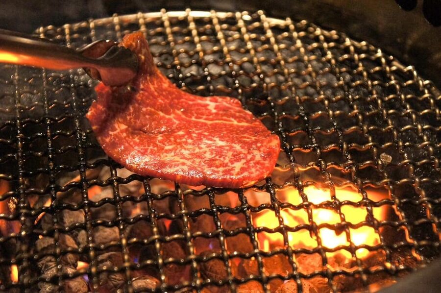 Tokyo: Wagyu and Sushi Gastronomic Journey - Kabukicho, Godzilla, and Tokyo after dark