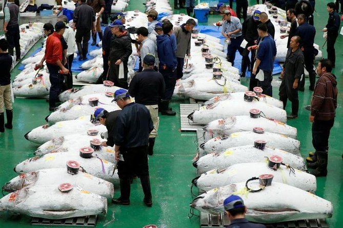 Toyosu Market Morning Tuna Auction and Tsukiji Food Tour with Licensed Guide - Watching the tuna auction from the third floor