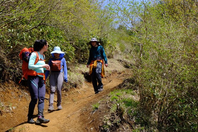 Traverse Outer Rim of Hakone Caldera and Enjoy Onsen Hiking Tour - The 30-minute descent toward Lake Ashinoko
