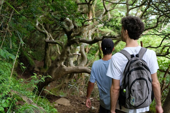 Traverse Outer Rim of Hakone Caldera and Enjoy Onsen Hiking Tour - Lunch near Togendai, with choices rather than a fixed menu