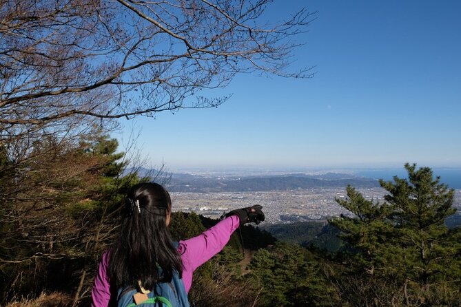 Traverse Outer Rim of Hakone Caldera and Enjoy Onsen Hiking Tour - An onsen finish for tired muscles