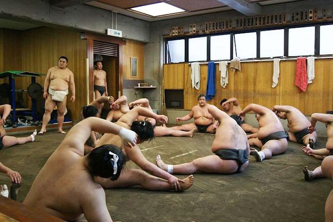 Watch Sumo Morning Practice at Stable in Tokyo - Is the price of $95.77 fair?