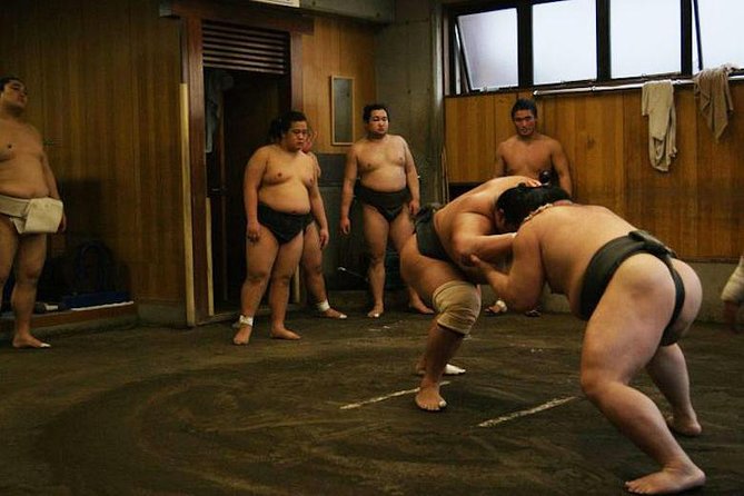 Watch Sumo Morning Practice at Stable in Tokyo - Meeting near Tokyo’s sumo district