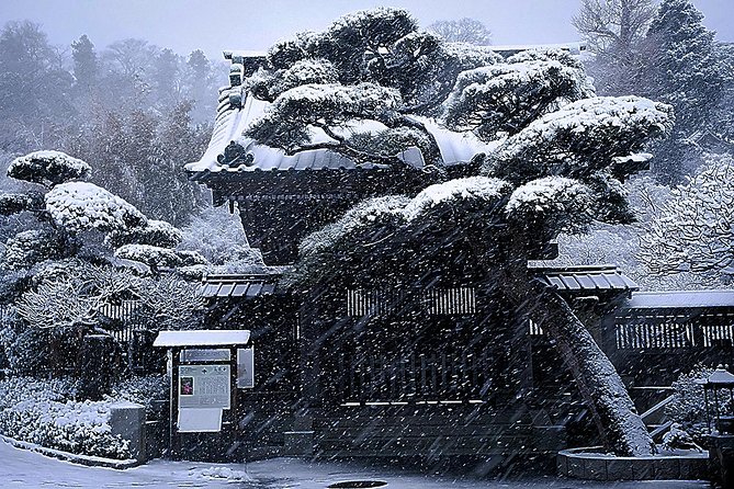 When Emperors Reigned and Shoguns Ruled - Meeting the Great Buddha at Kotoku-in