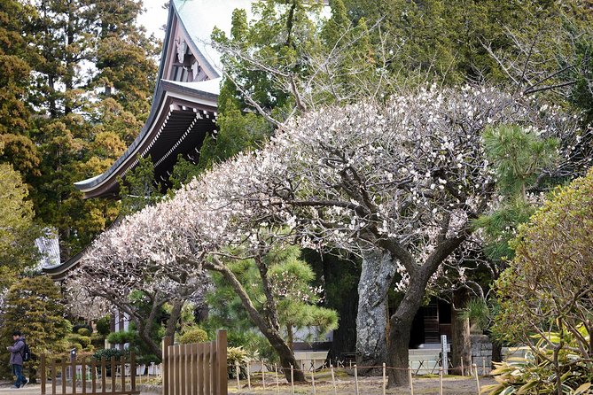 When Emperors Reigned and Shoguns Ruled - What the Private Guide Adds