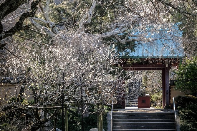 When Emperors Reigned and Shoguns Ruled - Is $108.99 a Fair Price?