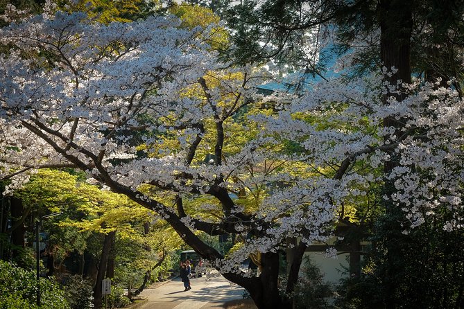 When Emperors Reigned and Shoguns Ruled - Who Will Enjoy This Kamakura Walk?