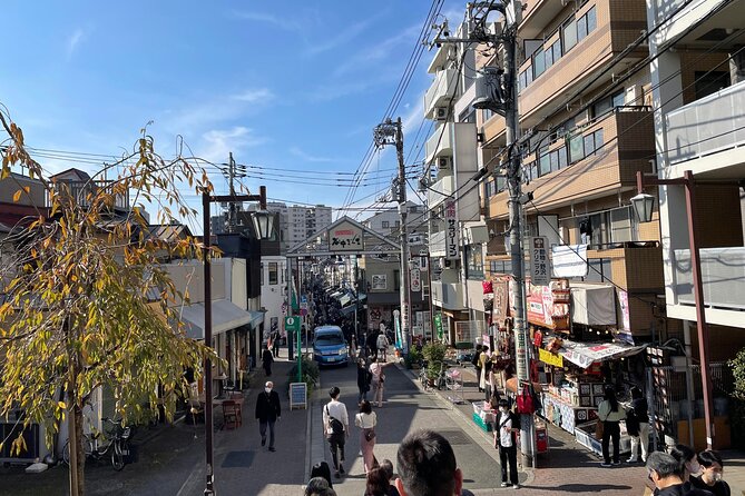 Yanaka and Asakusa Walk around DOWNTOWN TOKYO like a local - What the private guide adds