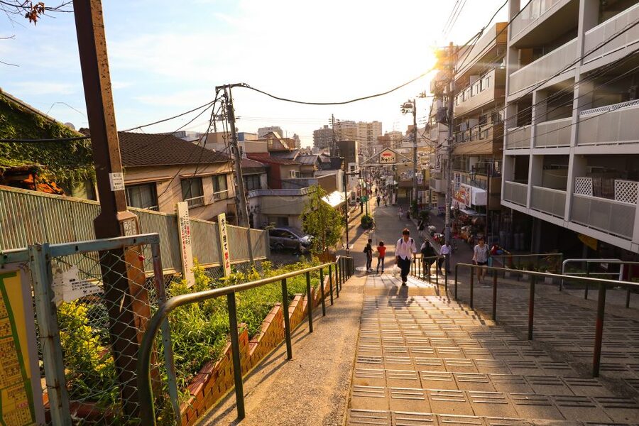 Yanaka District: Historical Walking Tour in Tokyo's Old Town - Key Points At A Glance