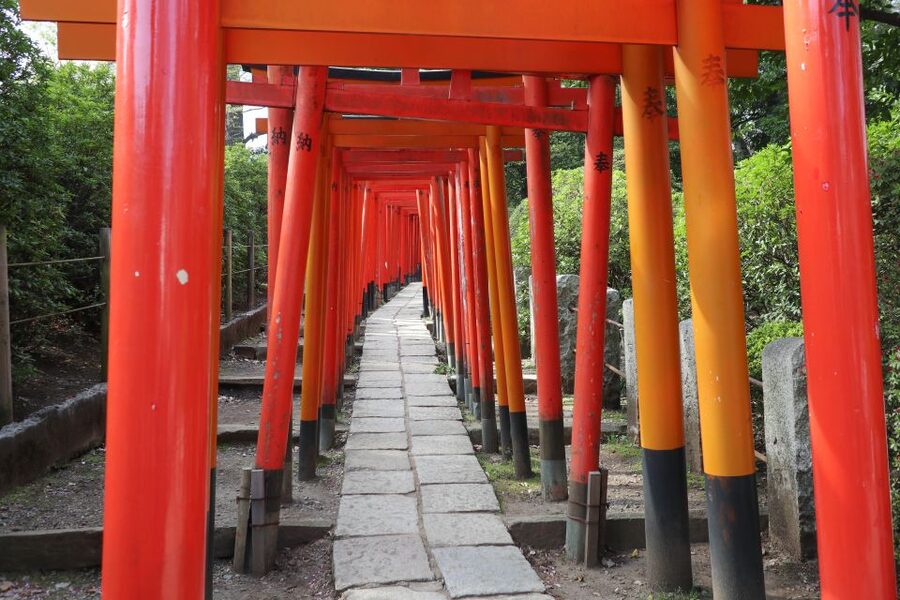 Yanaka District: Historical Walking Tour in Tokyo's Old Town - Why Yanaka Feels So Different From Shibuya