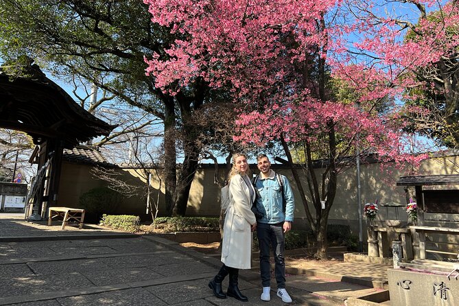 Yanaka Walking Tour: Historic and Traditional District of Tokyo - Nezu Jingu and the religious side of the route