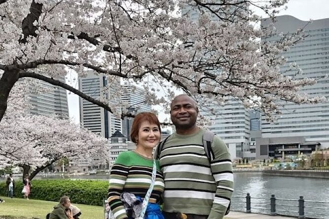 Yokohama 4hr Private Tour with Government-Licensed Guide - Minato Mirai 21 and the waterfront skyline