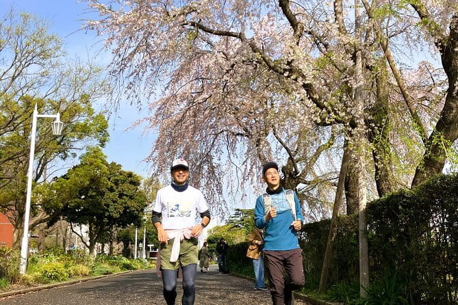 Yokohama Half Day Walking Tour with an Expert Local Guide - Sankeien Gardens, a Kyoto-like change of pace