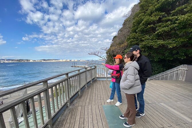 Yokosuka Adventure: Explore Uninhabited Island & Naval Cruise - What the private guide adds