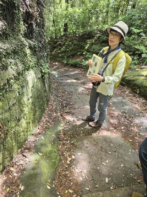Yokosuka : Scenic Hidden Gem Hike and Naval Port Cruise - Yokosuka’s naval harbor from the water